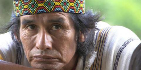 Edwin  Chota. Mártir de la Amazonía